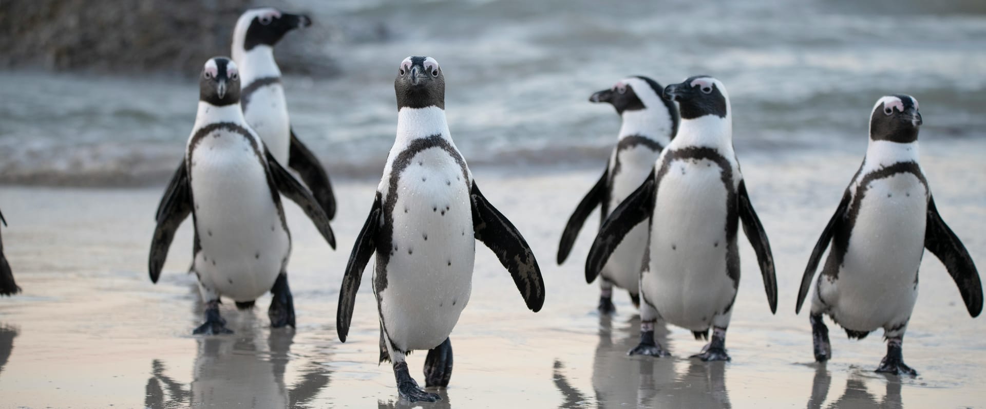 Why Linux?