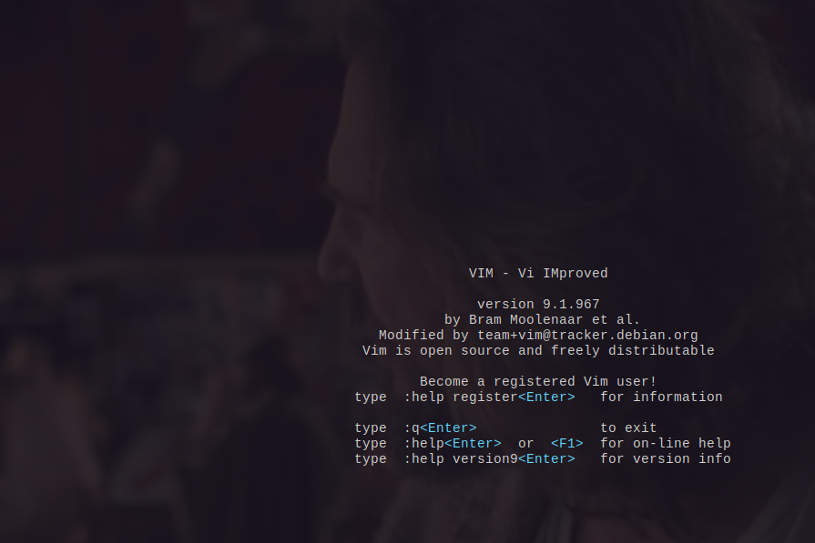Vim - The Chosen Editor